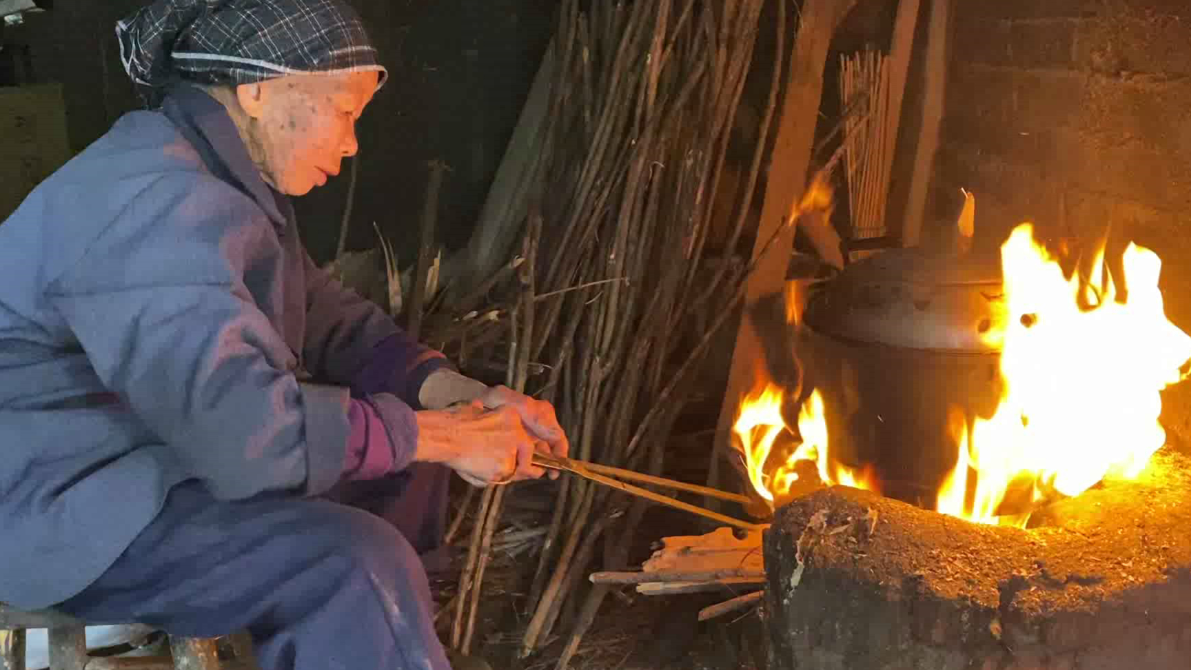 春天来了 到处都是鸟 但是瑶族却有个赶鸟节 为什么要把鸟赶走?